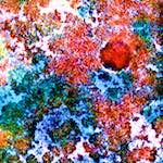 image: Image from the photoset ‘
damage (cclxviii)
’.