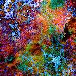 image: Image from the photoset ‘
damage (cclxviii)
’.