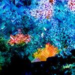 image: Image from the photoset ‘
damage (cclxviii)
’.