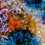 image: Image from the photoset ‘
damage (cclxix)
’.