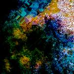 image: Image from the photoset ‘
damage (cclxix)
’.