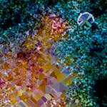 image: Image from the photoset ‘
damage (cclxix)
’.