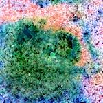 image: Image from the photoset ‘
damage (cclxx)
’.