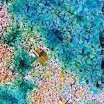 image: Image from the photoset ‘
damage (cclxx)
’.