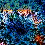 image: Image from the photoset ‘
damage (cclxx)
’.