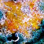 image: Image from the photoset ‘
damage (cclxx)
’.