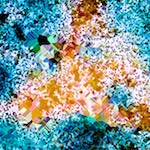 image: Image from the photoset ‘
damage (cclxxi)
’.