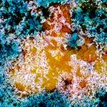 image: Image from the photoset ‘
damage (cclxxi)
’.