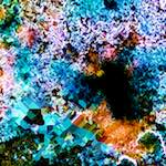 image: Image from the photoset ‘
damage (cclxxi)
’.