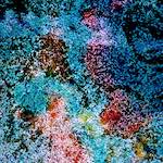 image: Image from the photoset ‘
damage (cclxxii)
’.