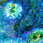 image: Image from the photoset ‘
damage (cclxxii)
’.