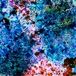 image: Image from the photoset ‘
damage (cclxxiii)
’.