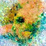 image: damage (cclxxiii) photoset