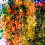 image: Image from the photoset ‘
damage (cclxxiii)
’.