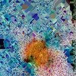 Third image from the photoset 'damage (cclxxiv)'.