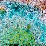 Seventh image from the photoset 'damage (cclxxiv)'.