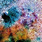 Eighth image from the photoset 'damage (cclxxiv)'.