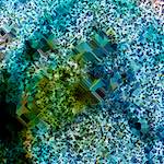 Ninth image from the photoset 'damage (cclxxiv)'.