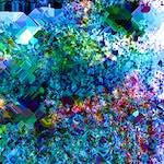 image: Image from the photoset ‘
damage (cclxxv)
’.