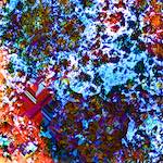 image: Image from the photoset ‘
damage (cclxxv)
’.