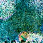 image: Image from the photoset ‘
damage (cclxxv)
’.