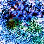 image: Image from the photoset ‘
damage (cclxxvi)
’.