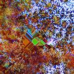 image: Image from the photoset ‘
damage (cclxxvi)
’.