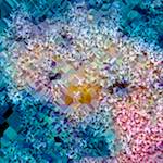 image: Image from the photoset ‘
damage (cclxxvii)
’.