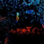 Image: First image from the photoset 'damage (cclxxix)'.