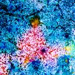 Image: Fifth image from the photoset 'damage (cclxxix)'.