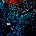 Image: Seventh image from the photoset 'damage (cclxxix)'.