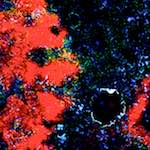 Image: Eighth image from the photoset 'damage (cclxxix)'.