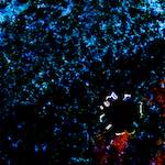 Image: Ninth image from the photoset 'damage (cclxxix)'.