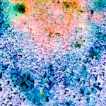 image: Image from the photoset ‘
damage (cclxxx)
’.