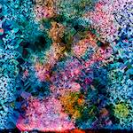 image: Image from the photoset ‘
damage (cclxxx)
’.