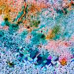 image: Image from the photoset ‘
damage (cclxxx)
’.