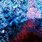 image: Image from the photoset ‘
damage (cclxxx)
’.