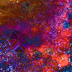 image: Image from the photoset ‘
damage (cclxxx)
’.