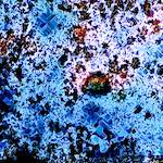 image: Image from the photoset ‘
damage (cclxxx)
’.