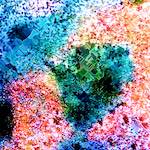 image: Image from the photoset ‘
damage (cclxxx)
’.