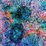 image: Image from the photoset ‘
damage (cclxxxi)
’.