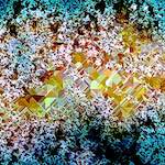 image: Image from the photoset ‘
damage (cclxxxi)
’.