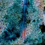 image: Image from the photoset ‘
damage (cclxxxi)
’.