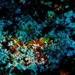 image: Image from the photoset ‘
damage (cclxxxii)
’.