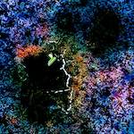 image: Image from the photoset ‘
damage (cclxxxii)
’.