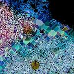 Image: Fifth image from the photoset 'damage (cclxxxiii)'.