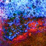 Image: Sixth image from the photoset 'damage (cclxxxiii)'.