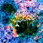 Image: Eighth image from the photoset 'damage (cclxxxiii)'.