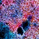 Image: Ninth image from the photoset 'damage (cclxxxiii)'.