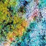 image: Image from the photoset ‘
damage (cclxxxiv)
’.